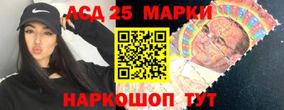 меф Гатчина